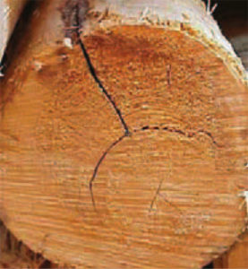 richtige-ausformung-holz-fair-kaufen