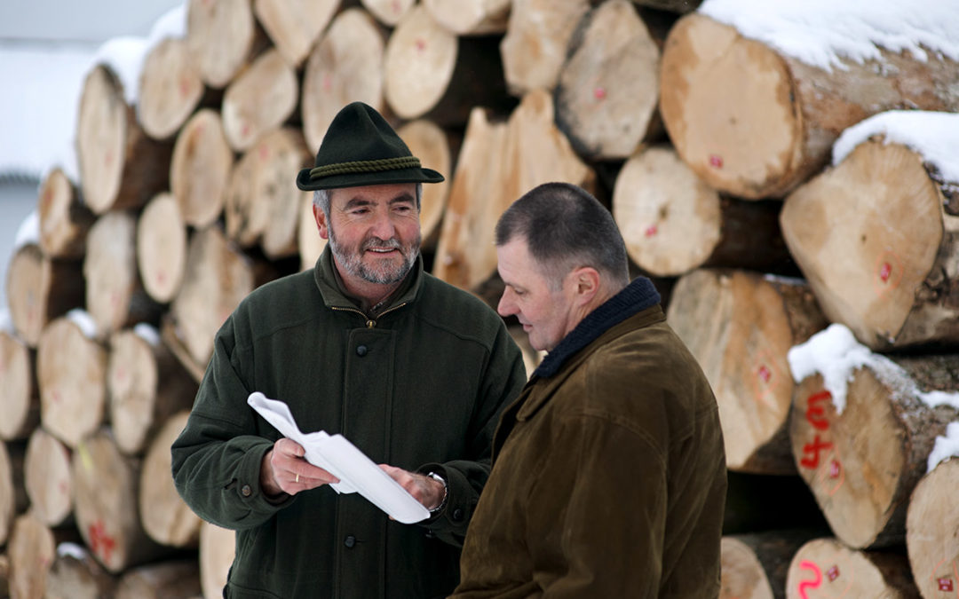 Gemeinsame Erklärung der Wertschöpfungskette Forst-Holz-Papier zur aktuellen Forstschutz- und Schadholzkrise
