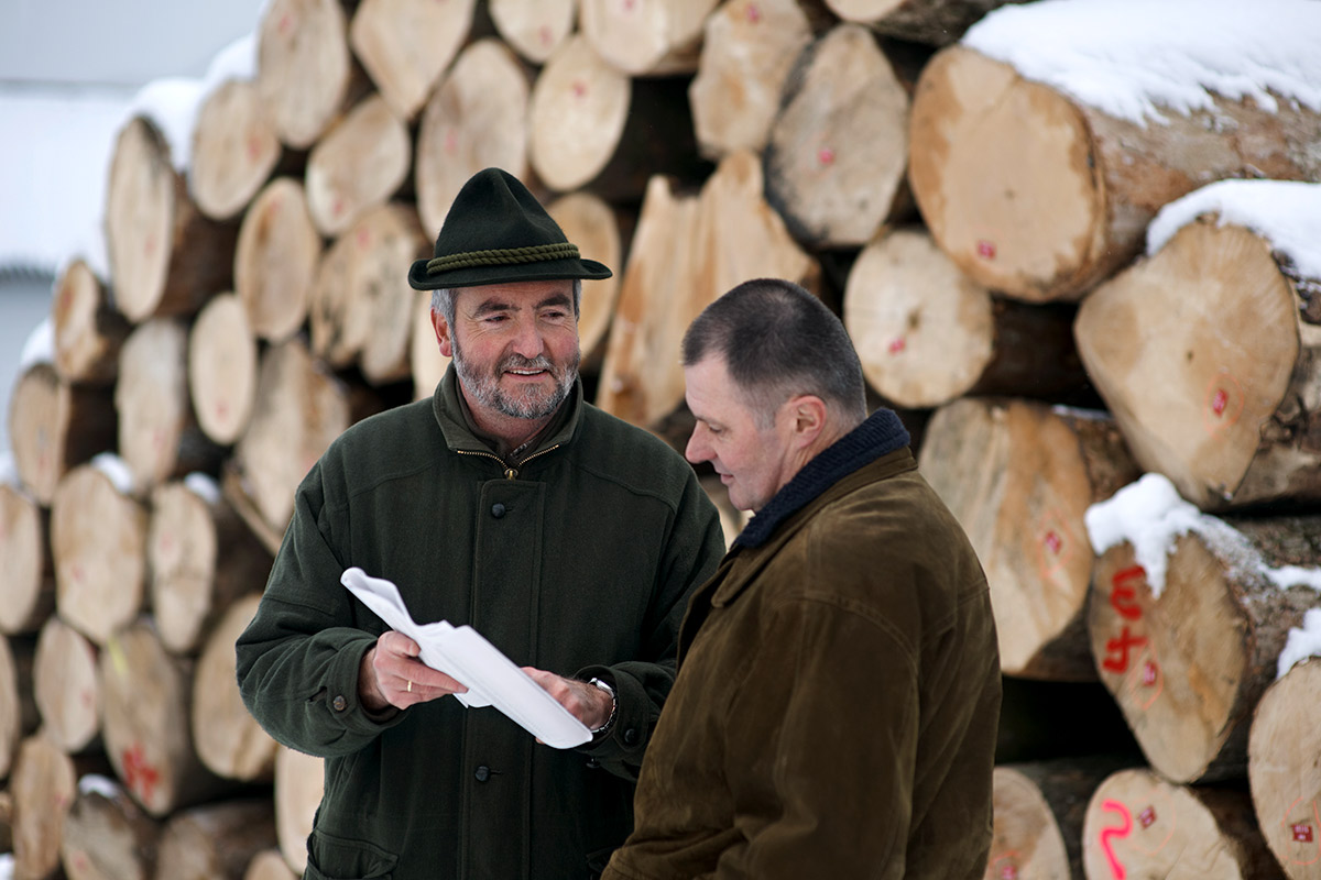 Holz-fair-kaufen-Beratung-in-Ihrer-Naehe