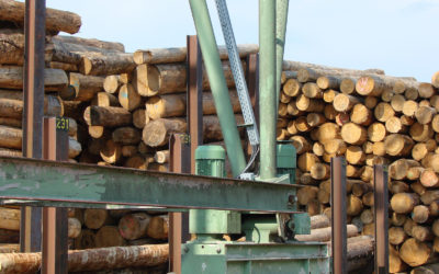 Holzmarktsituation im August