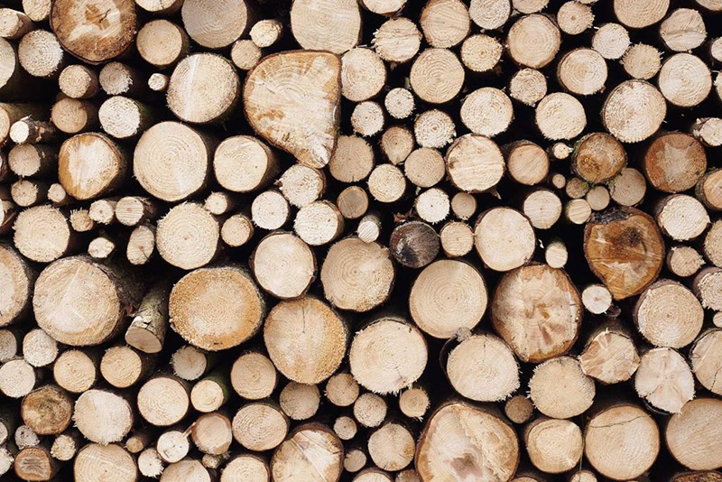 Holzmarktbericht Jänner 2021