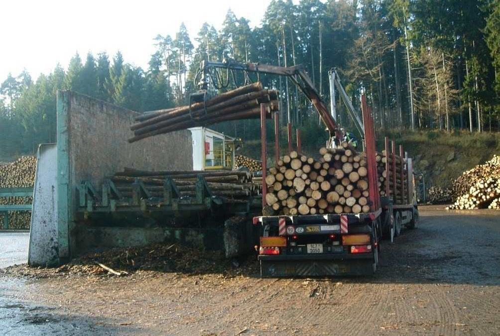 Der Holzmarktbericht für Mai 2020 ist da!