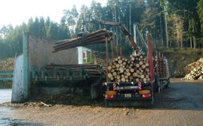 Der Holzmarktbericht für Mai 2020 ist da!